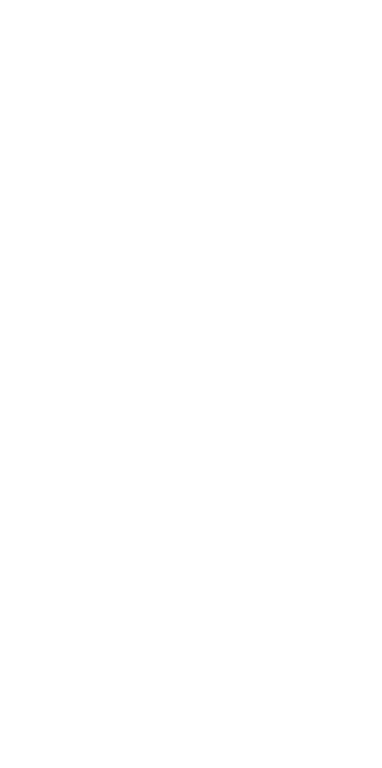 raphael coelho lettering